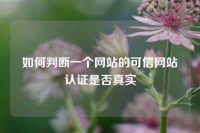 如何判断一个网站的可信网站认证是否真实