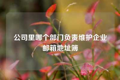 公司里哪个部门负责维护企业邮箱地址簿