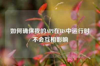 如何确保我的API在IIS中运行时不会互相影响