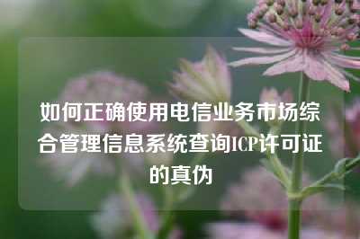如何正确使用电信业务市场综合管理信息系统查询ICP许可证的真伪