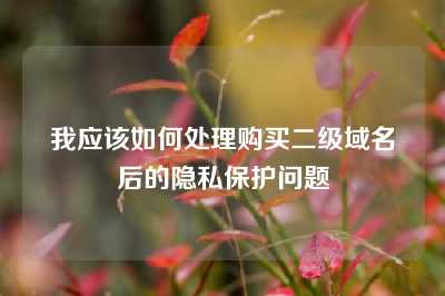 我应该如何处理购买二级域名后的隐私保护问题