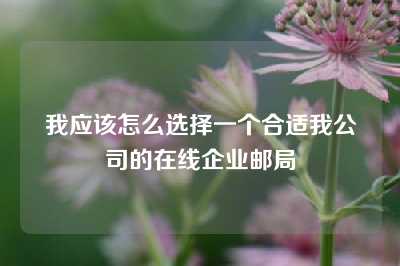 我应该怎么选择一个合适我公司的在线企业邮局