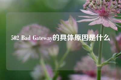 502 Bad Gateway的具体原因是什么