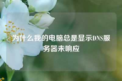 为什么我的电脑总是显示DNS服务器未响应