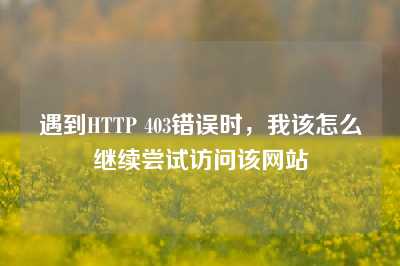 遇到HTTP 403错误时，我该怎么继续尝试访问该网站