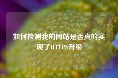 如何检测我的网站是否真的实现了HTTPS升级