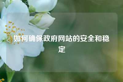如何确保政府网站的安全和稳定
