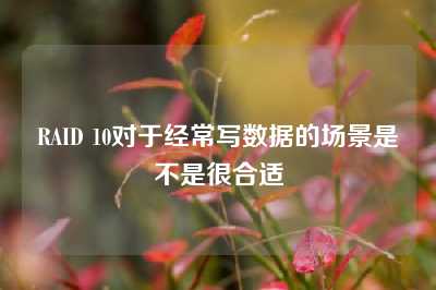 RAID 10对于经常写数据的场景是不是很合适