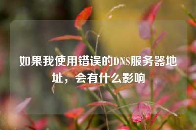 如果我使用错误的DNS服务器地址，会有什么影响