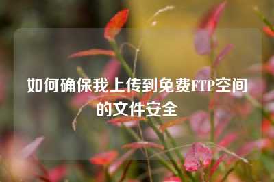 如何确保我上传到免费FTP空间的文件安全