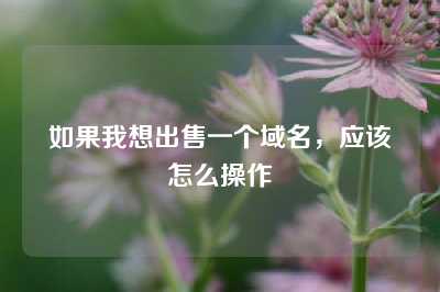 如果我想出售一个域名，应该怎么操作