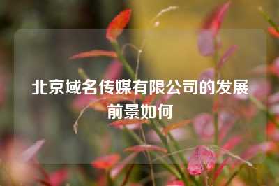 北京域名传媒有限公司的发展前景如何