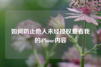 如何防止他人未经授权查看我的iPhone内容