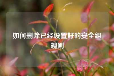 如何删除已经设置好的安全组规则