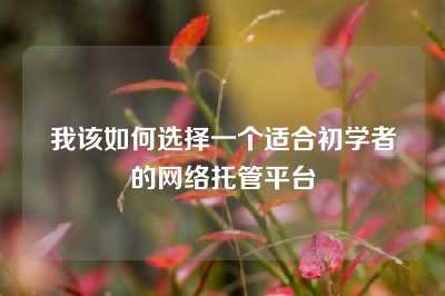 我该如何选择一个适合初学者的网络托管平台