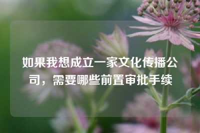 如果我想成立一家文化传播公司，需要哪些前置审批手续