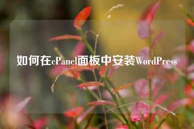如何在cPanel面板中安装WordPress