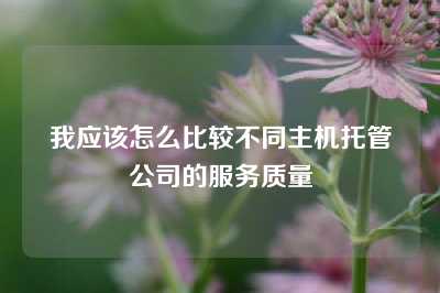 我应该怎么比较不同主机托管公司的服务质量