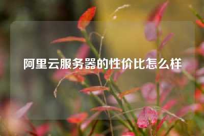 阿里云服务器的性价比怎么样