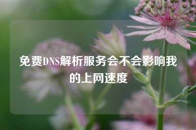 免费DNS解析服务会不会影响我的上网速度