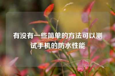 有没有一些简单的方法可以测试手机的防水性能