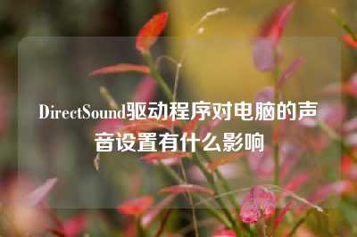 DirectSound驱动程序对电脑的声音设置有什么影响