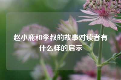 赵小鹿和李叔的故事对读者有什么样的启示