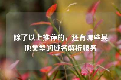 除了以上推荐的，还有哪些其他类型的域名解析服务