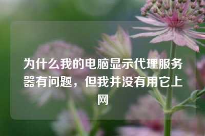 为什么我的电脑显示代理服务器有问题，但我并没有用它上网