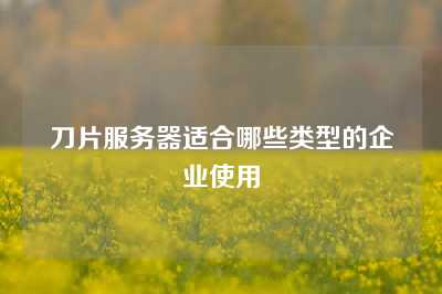 刀片服务器适合哪些类型的企业使用