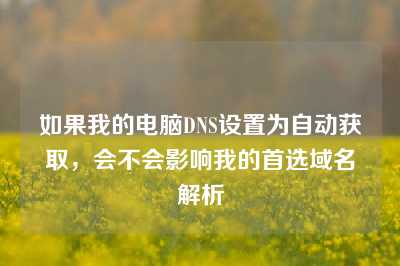 如果我的电脑DNS设置为自动获取，会不会影响我的首选域名解析