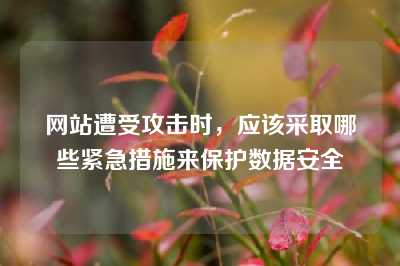 网站遭受攻击时，应该采取哪些紧急措施来保护数据安全