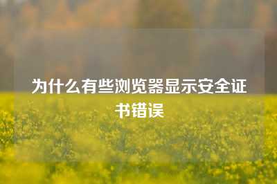 为什么有些浏览器显示安全证书错误