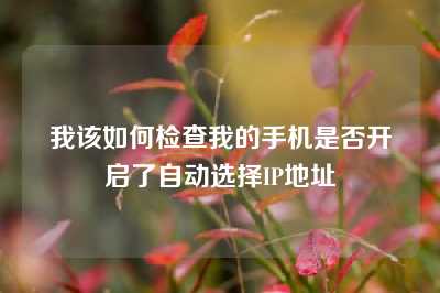 我该如何检查我的手机是否开启了自动选择IP地址