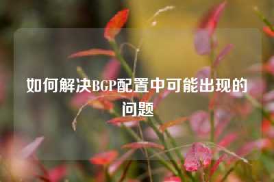 如何解决BGP配置中可能出现的问题
