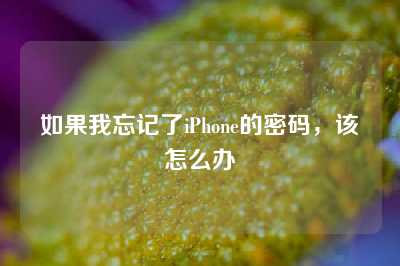 如果我忘记了iPhone的密码，该怎么办