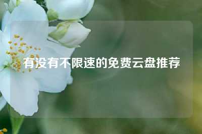 有没有不限速的免费云盘推荐