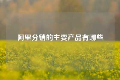 阿里分销的主要产品有哪些