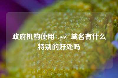 政府机构使用`.gov`域名有什么特别的好处吗