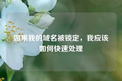 如果我的域名被锁定，我应该如何快速处理