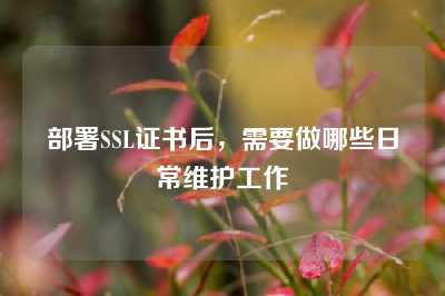 部署SSL证书后，需要做哪些日常维护工作