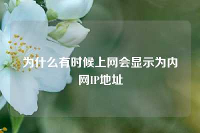 为什么有时候上网会显示为内网IP地址
