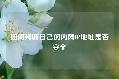 如何判断自己的内网IP地址是否安全