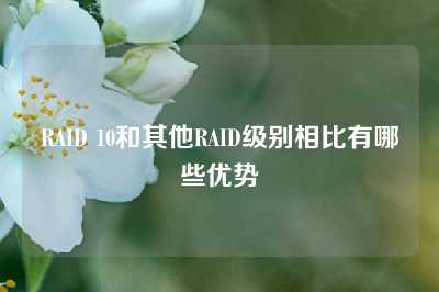 RAID 10和其他RAID级别相比有哪些优势