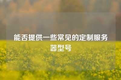能否提供一些常见的定制服务器型号