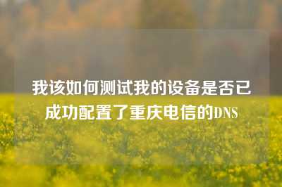 我该如何测试我的设备是否已成功配置了重庆电信的DNS