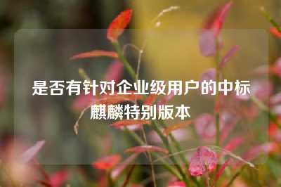 是否有针对企业级用户的中标麒麟特别版本