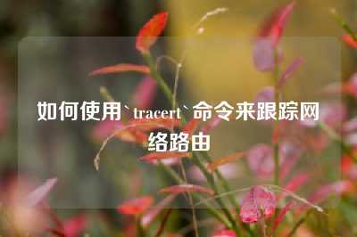 如何使用`tracert`命令来跟踪网络路由