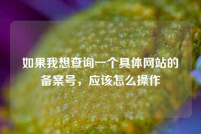 如果我想查询一个具体网站的备案号，应该怎么操作
