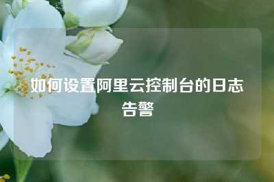 如何设置阿里云控制台的日志告警